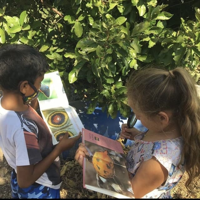 Alunos do Acaia Pantanal em proposta de aula domiciliar na pandemia