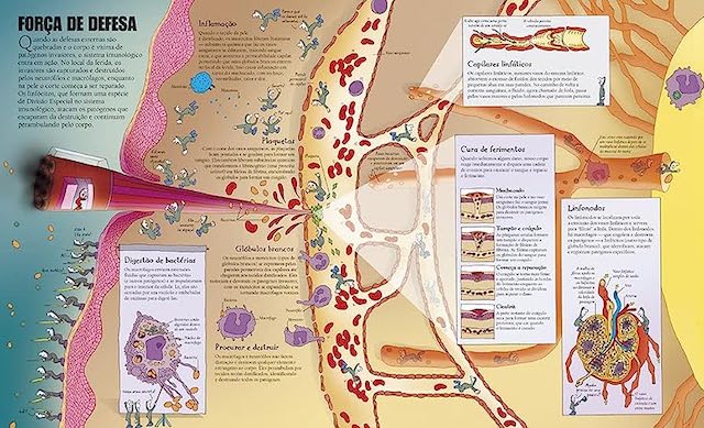 Ilustração do livro Como funciona o incrível corpo humano, que mostra detalhadamente o funcionamento do organismo como uma grande máquina