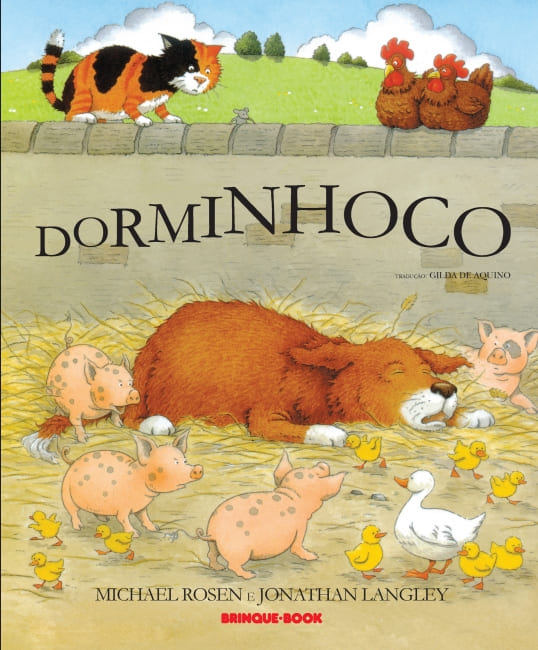 Capa do livro Dorminhoco