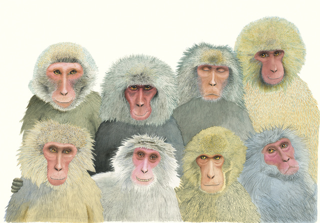 Mais primatas ilustrados por Anthony Browne, um dos principais autores de livros infantis do mundo